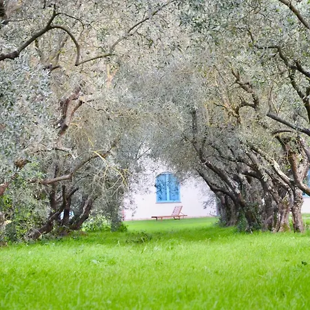 La Traversa Di 빌라 볼세나