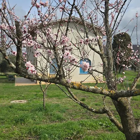 La Traversa Di Villa